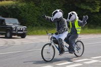 bikes