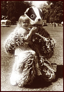 Badger suit