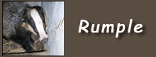 rumple button
