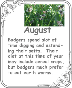 august