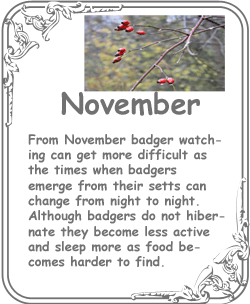 november